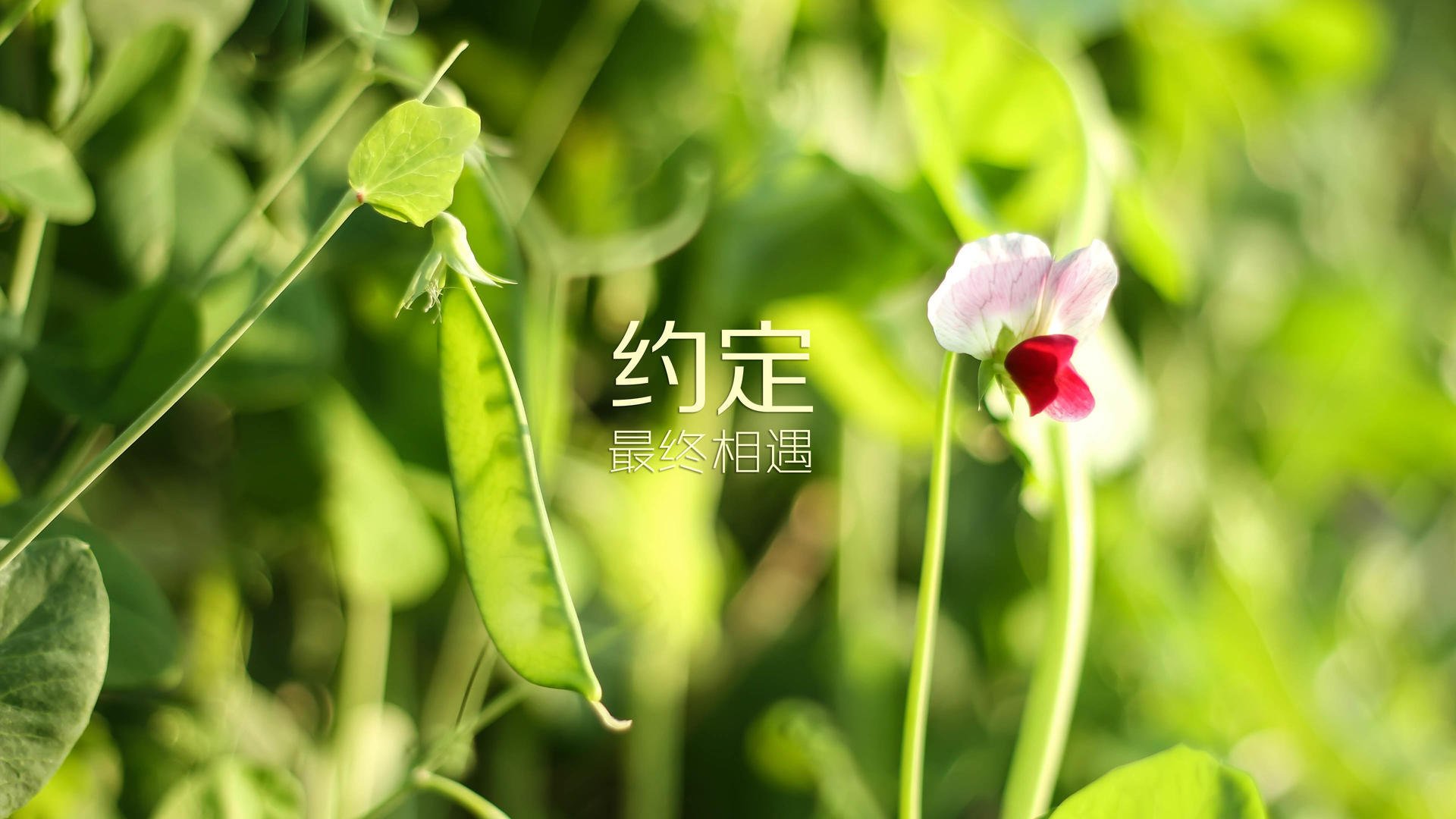 开云电竞登录入口-德甲主教练更替对球队战术稳定性影响，德甲各队主教练
