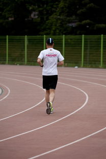 开云在线直播-高校运动训练效果科学评估研究，运动训练高校排名