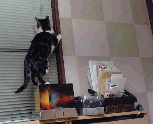 开云体育入口-国际乒联混合团体世界杯：中国香港队的表现超越预期，香港世乒赛