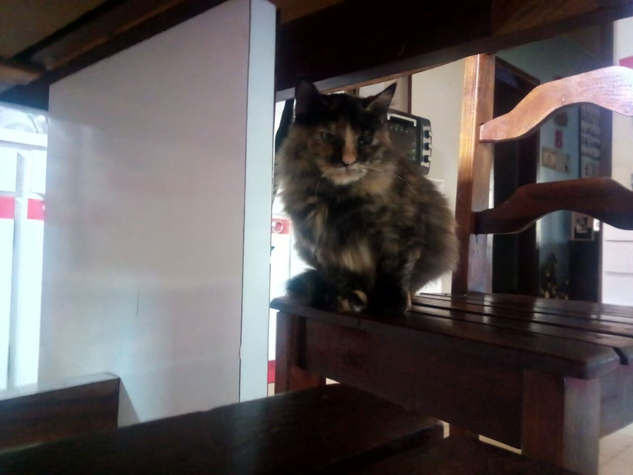 开云kaiyun-搏击台上火力全开战况激烈，搏击比赛现场精彩讲解