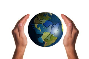 开云体育登陆入口-波兰队赛制分析：如何在团体赛制中保持稳定的表现，波兰球队如何