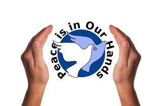 开云体育登陆入口-波兰队赛制分析：如何在团体赛制中保持稳定的表现，波兰球队如何