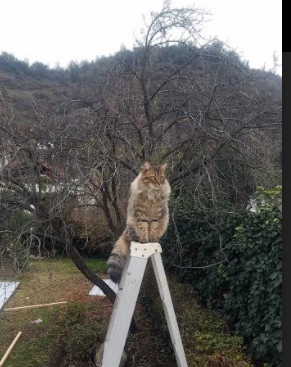 开云集团中国官网-湖畔传捷报，天府新区赛事喜迎八方宾客，天府新区酒店规划